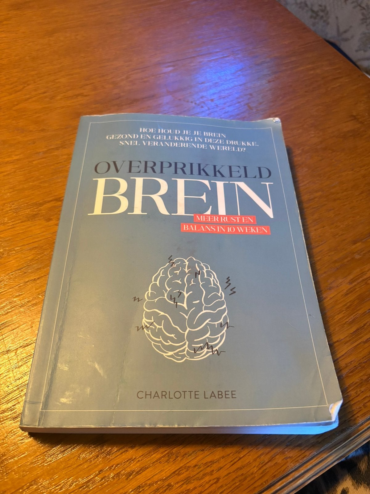 Charlotte Labee - Overprikkeld brein, Ophalen of Verzenden, Gelezen, Charlotte Labee