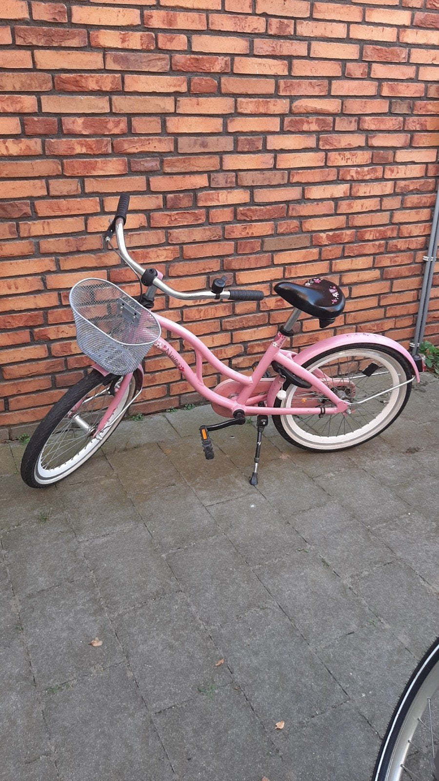 20 inch meisjesfiets, merk Alpina, Ophalen, Gebruikt, Alpina, Terugtraprem
