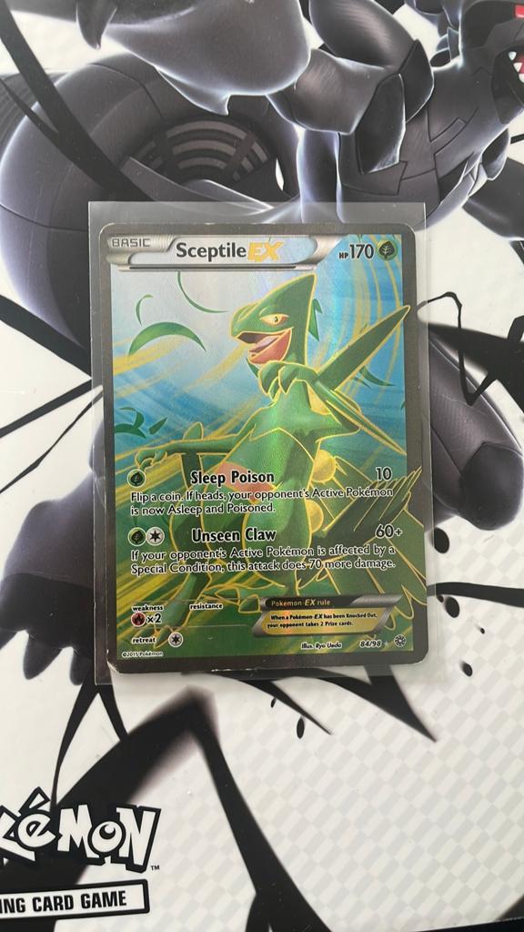 Sceptile, Ophalen of Verzenden