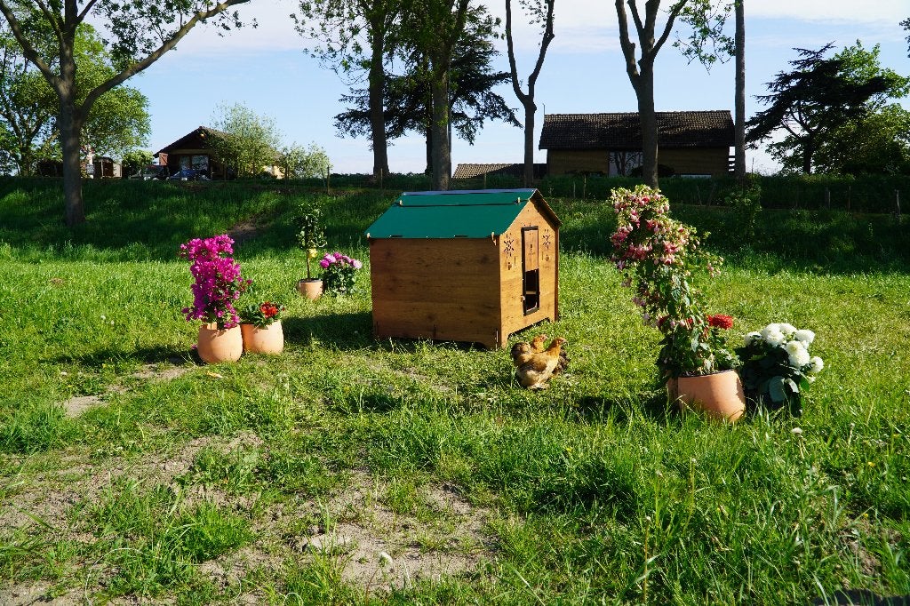 Trespa Kippenhok Cucciolotta | Farm Evolution 3XL, Ophalen of Verzenden, Nieuw, Kippenhok of Kippenren