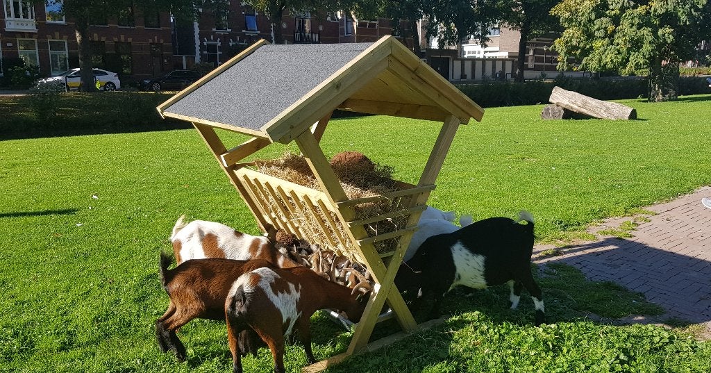 hooiruif, Dieren en Toebehoren, Ophalen of Verzenden, Nieuw