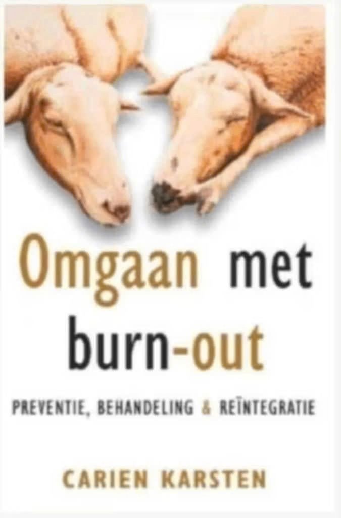 Omgaan met burn-out (preventie, behandeling en reïntegratie), Ophalen of Verzenden, Zo goed als nieuw