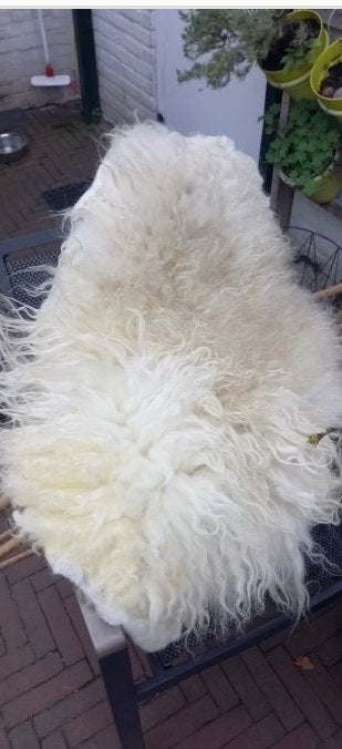 Gevilte vacht, Drents Heide schaap, 90x55cm, 55 cm, 90 cm, Wit, Verzenden