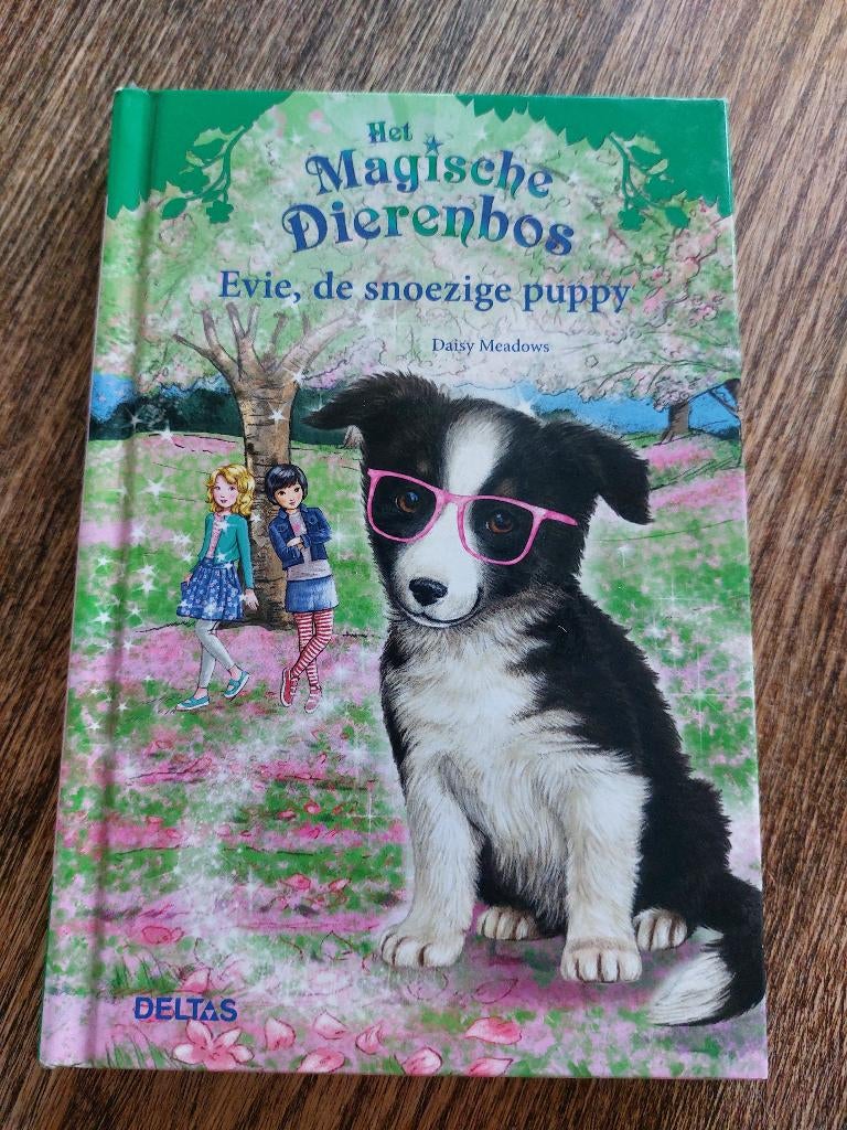 Het magische dierenbos boeken: Evie en Kitty, Daisy Meadows, Ophalen of Verzenden, Zo goed als nieuw, Sprookjes