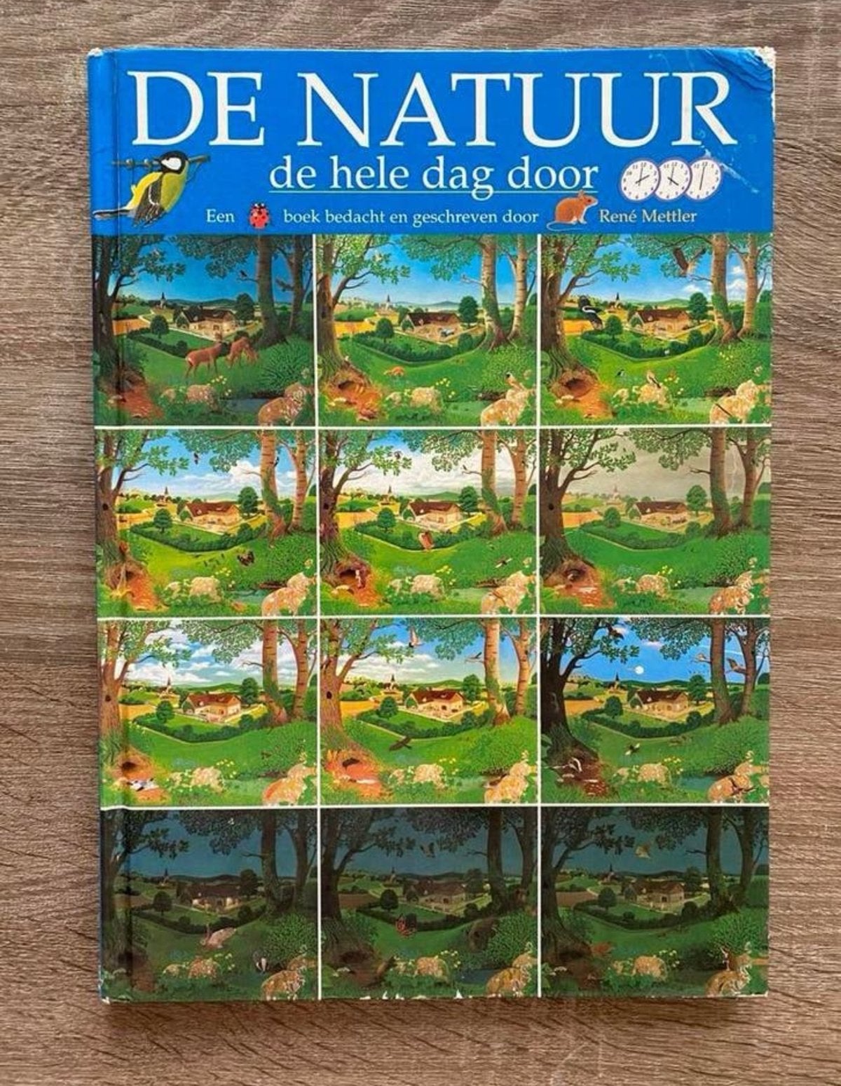 R. Mettler - De Natuur. De hele dag door, Boeken, Natuur, Ophalen of Verzenden, Gelezen, Natuur algemeen