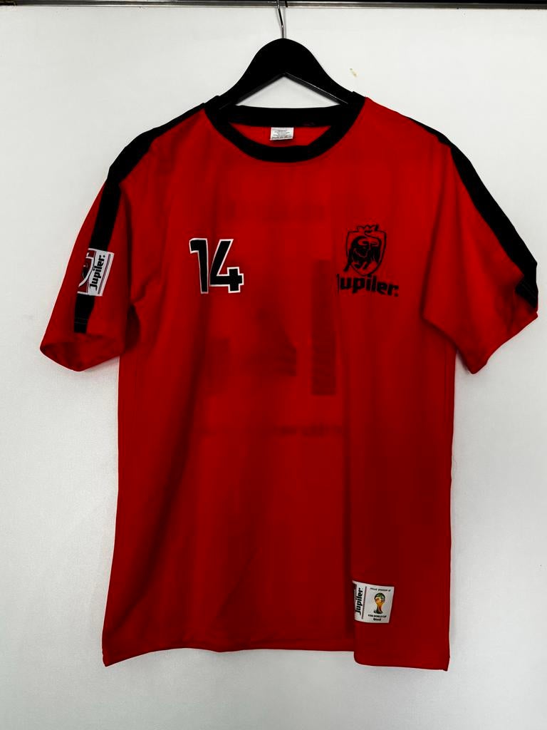 Jup Holland Jup WK 2014 Shirt - Maat L, Maat L, Ophalen, Zo goed als nieuw, Shirt