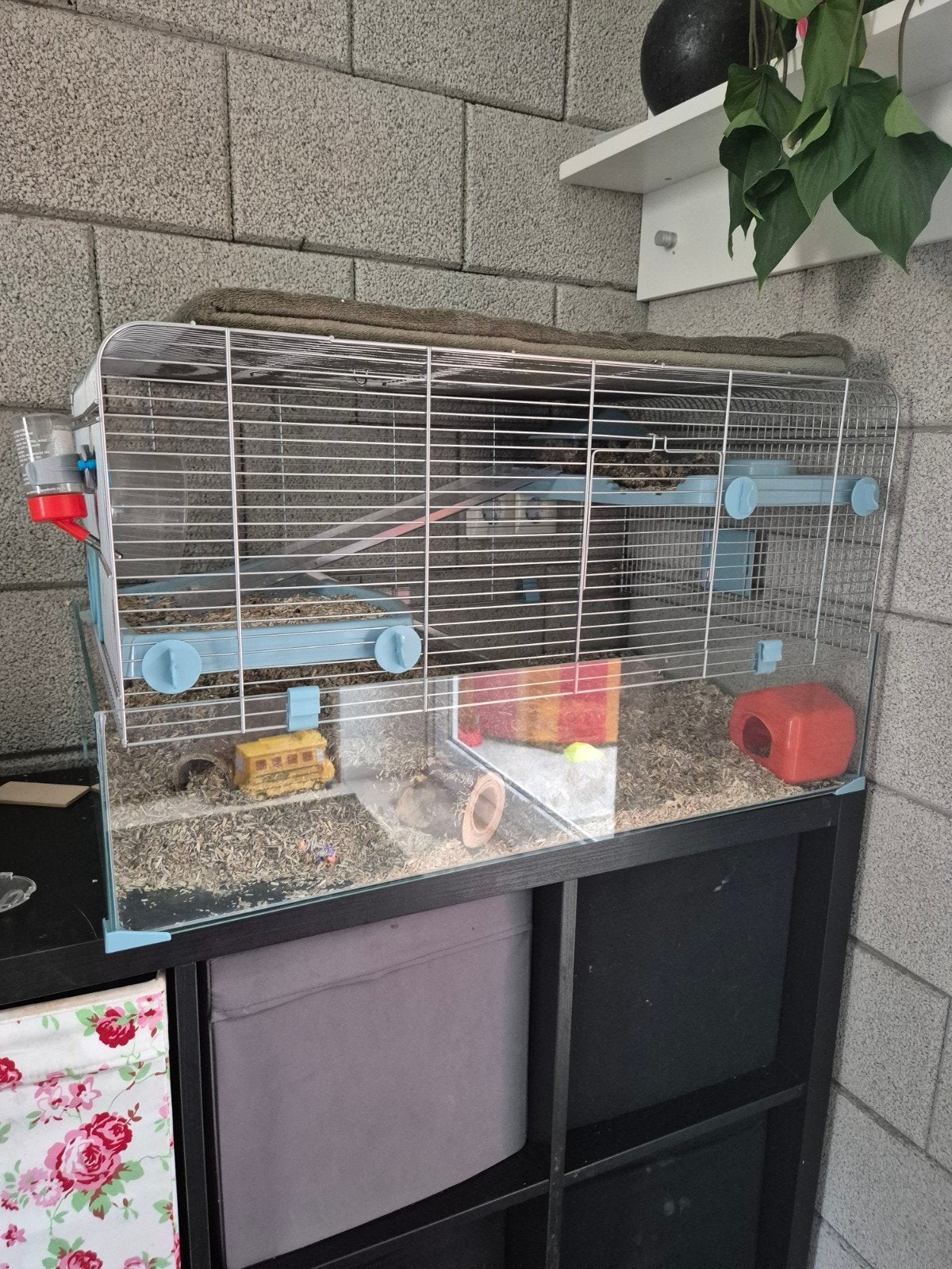 Complete hamsterkooi met hamster en alle toebehoren – €90, Dieren en Toebehoren, Kooi, Minder dan 75 cm, Zo goed als nieuw, Hamster