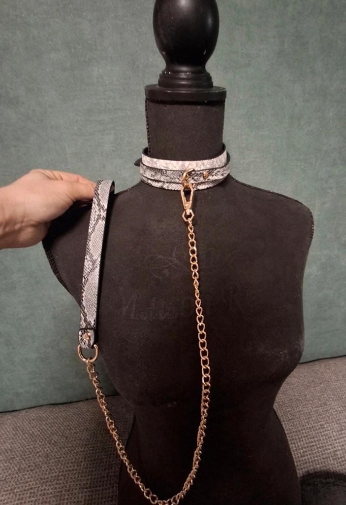 Lederlook Halsband en Riem Set - Slangenprint, Ophalen of Verzenden, Zo goed als nieuw, Overige maten, Grijs