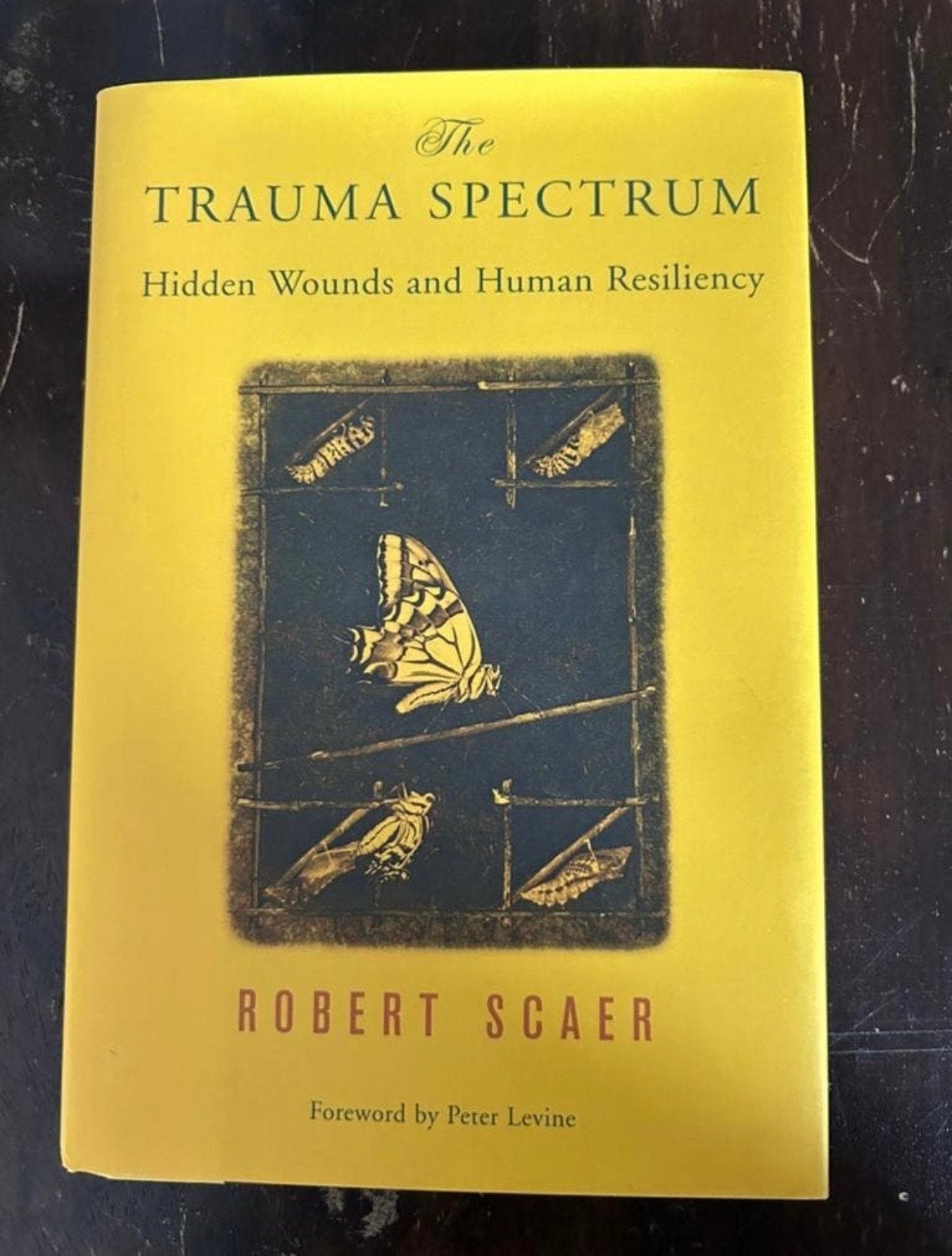 The Trauma Spectrum - Robert Scaer (Engels), Boeken, Psychologie, Ophalen of Verzenden, Zo goed als nieuw