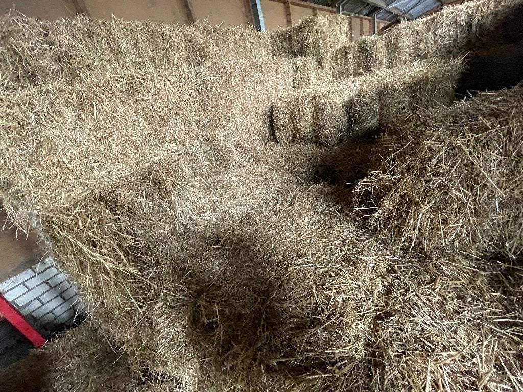 Kleine pakken hooi, Ophalen, Vee