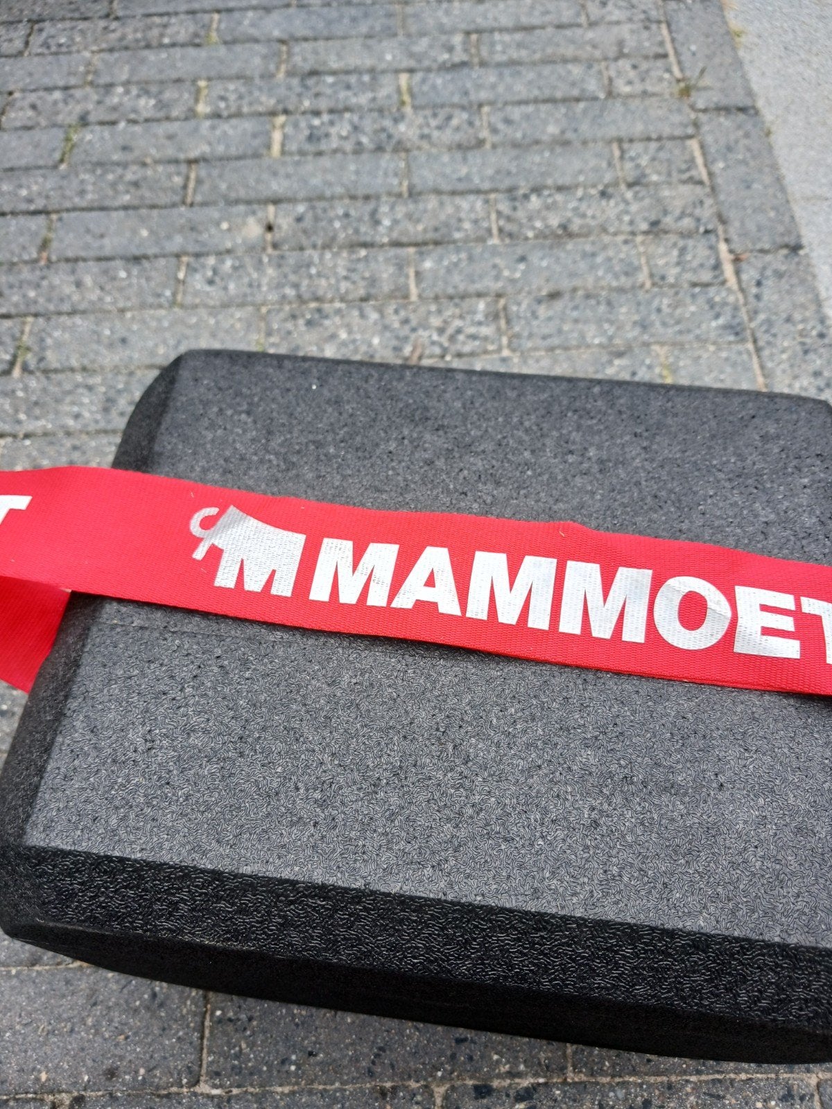 Mammoet Koelbox - Handige en Stevige Koeloplossing, Ophalen of Verzenden