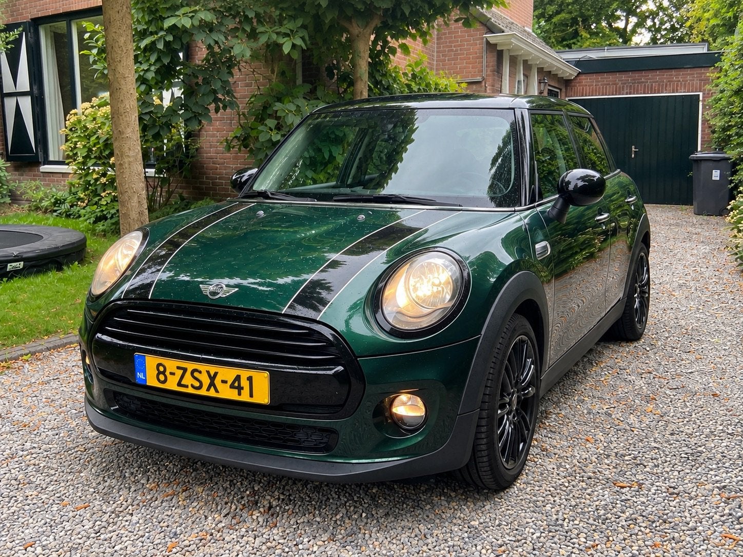 Mini MINI