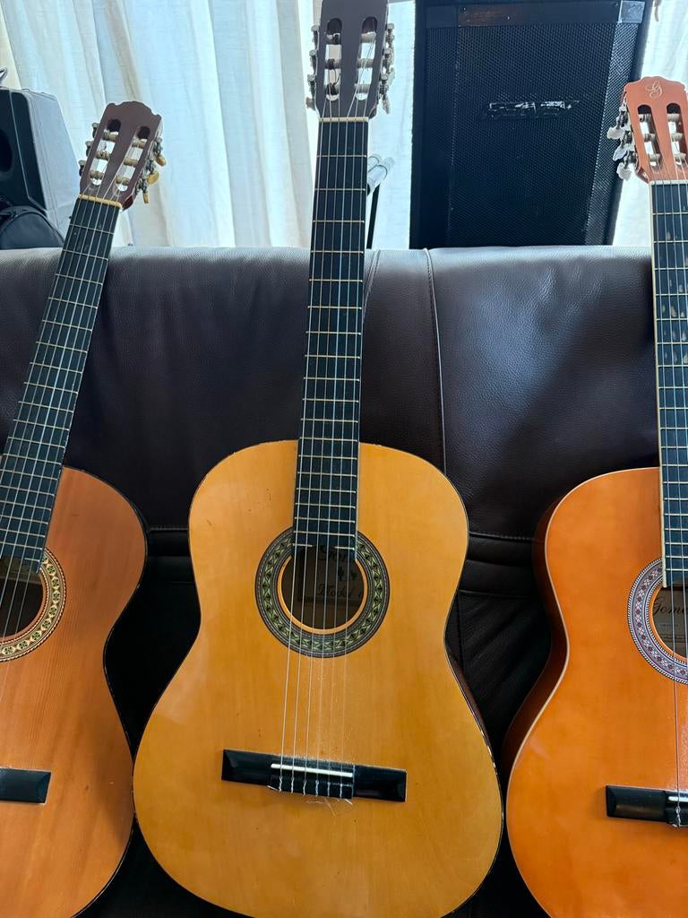 3 akoestische gitaren (Craftsman & Gomez) & tassen/stand, Ophalen of Verzenden, Gebruikt, Klassieke of Spaanse gitaar, Met koffer