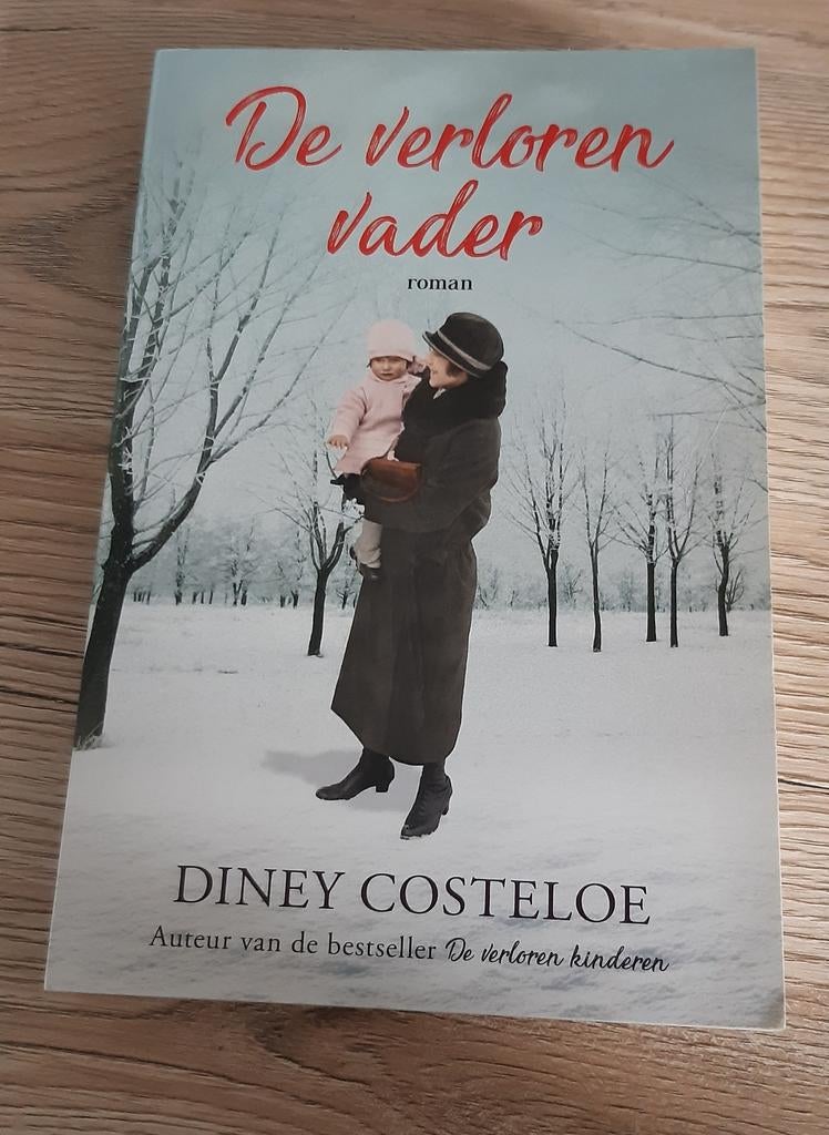 De verloren vader - Diney Costeloe (roman), Boeken, Ophalen of Verzenden, Zo goed als nieuw, Diney Costeloe, Europa overig