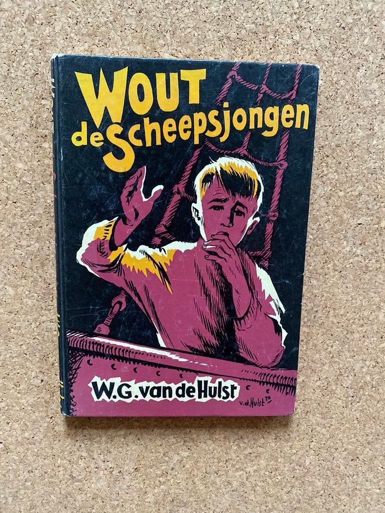 Wout de Scheepsjongen - W.G. van de Hulst, Ophalen of Verzenden, Gelezen, Fictie algemeen
