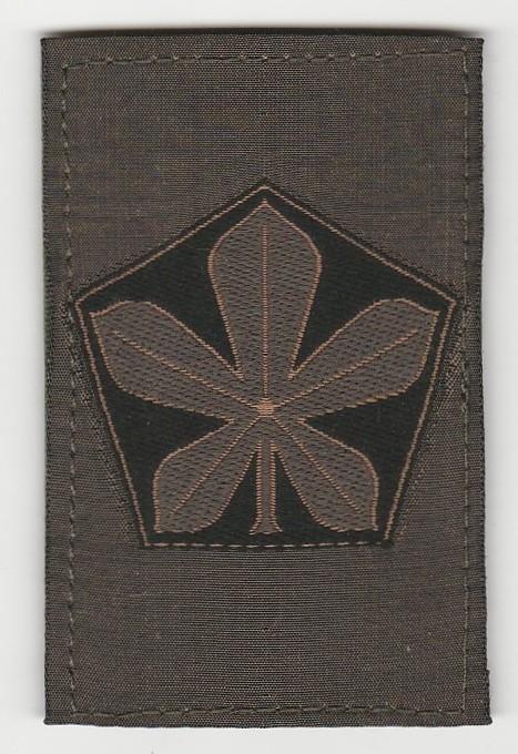Embleem 5e divisie (GVT, Gevechtstenue), Verzenden, Landmacht, Nederland, Embleem of Badge