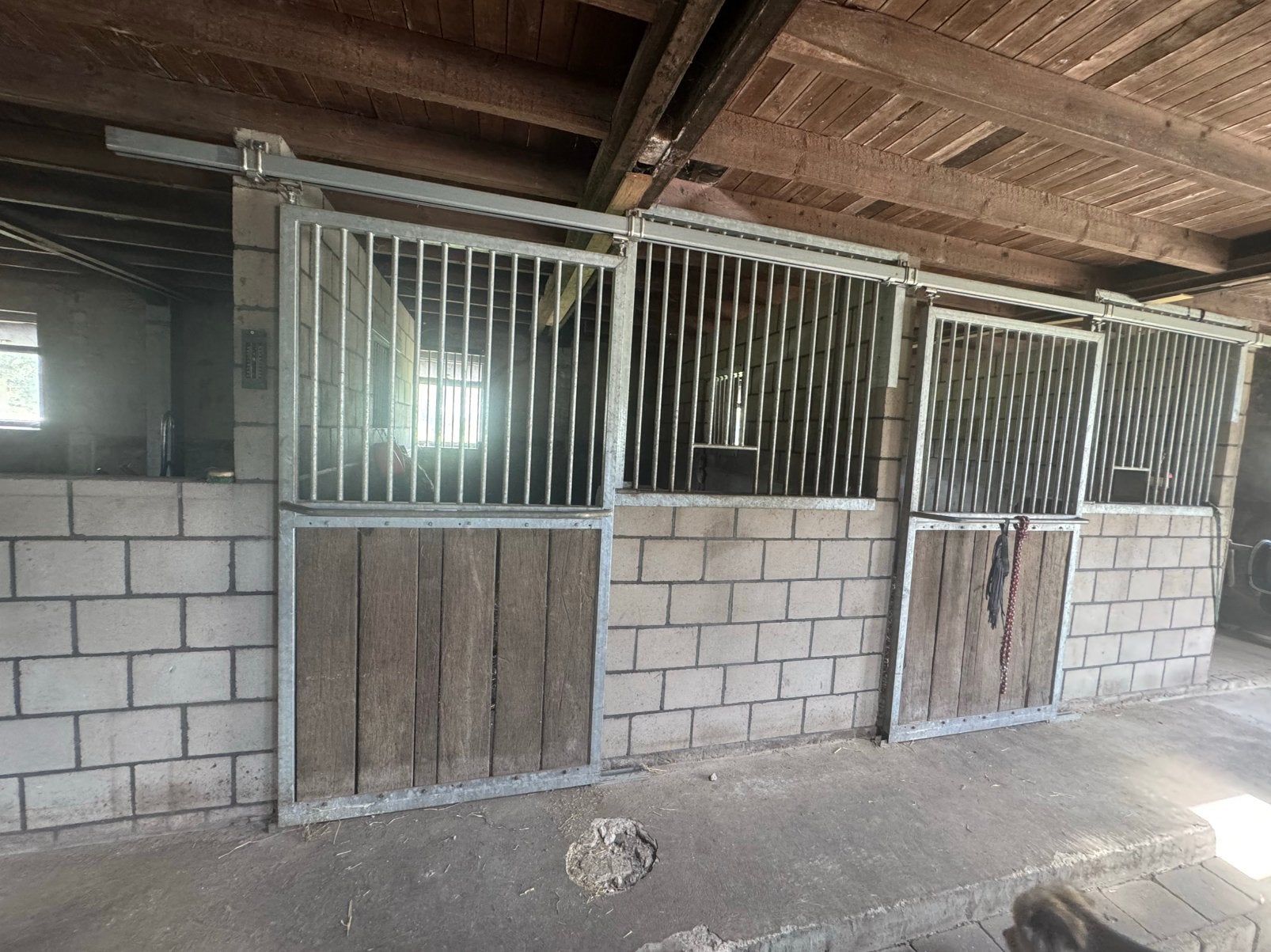 4 Paarden boxen te koop, Dieren en Toebehoren, Ophalen, Gebruikt