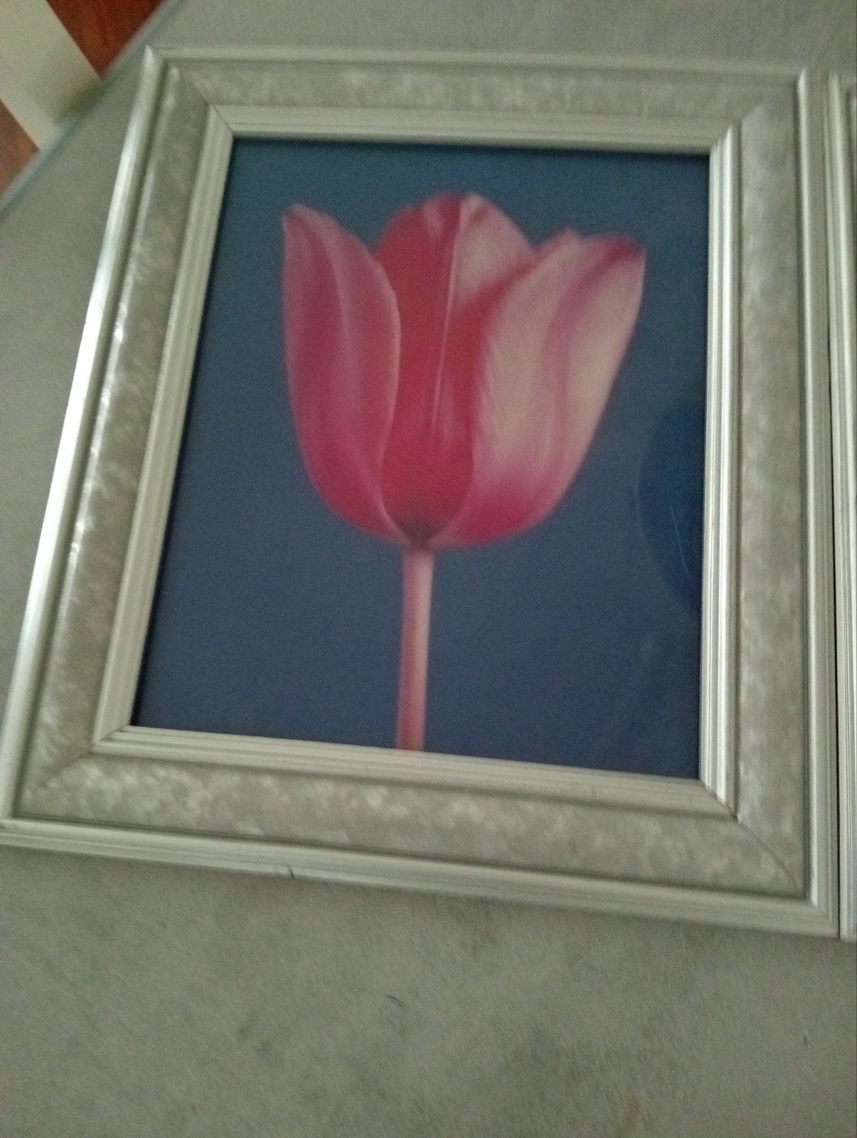 Set van 2 fotolijsten met bloemenafbeeldingen, Hangend, Gebruikt, Ophalen of Verzenden, Fotolijst