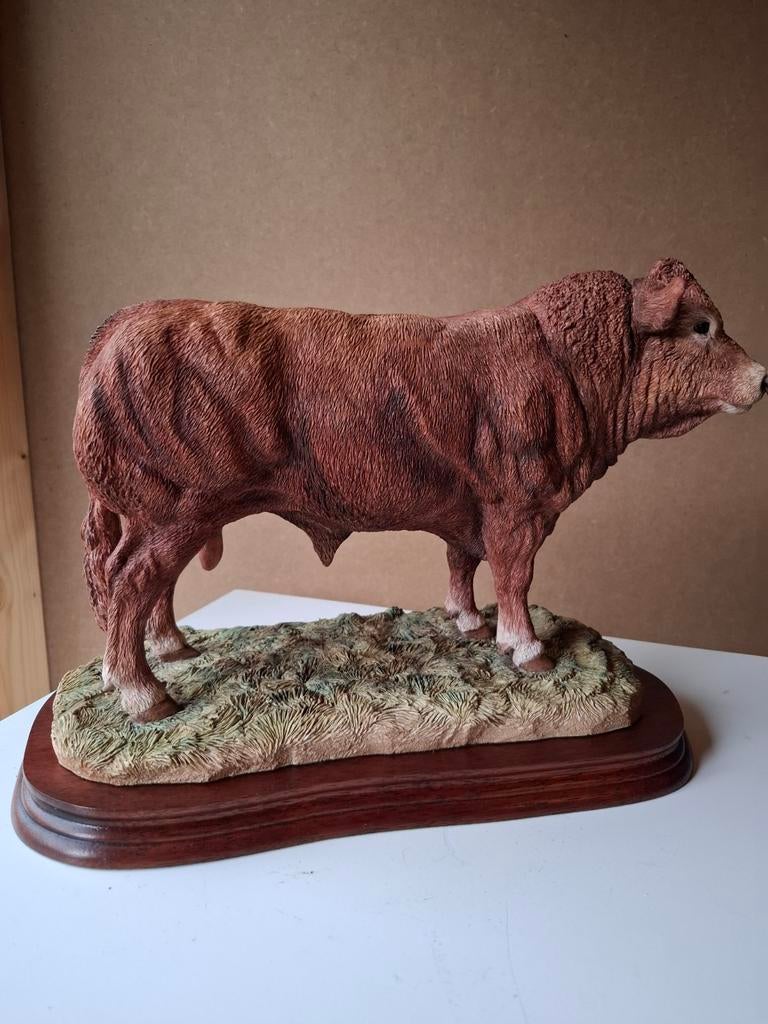 Border fine arts beeld nr B0531
Limousine Bull, Ophalen of Verzenden, Zoogdier, 20 - 50 cm, Op sokkel