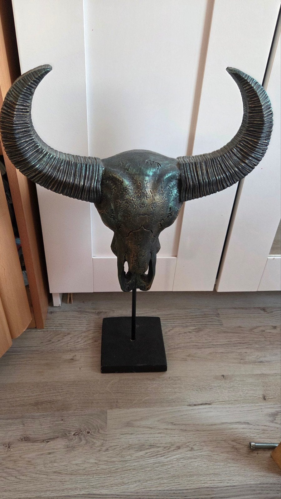 Buffelschedel op Standaard, Meerkleurig, Overige materialen, Overige stijlen, Ophalen of Verzenden