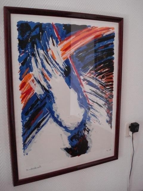 Hans Cornelissen, grote zeefdruk, Antiek en Kunst, Ophalen of Verzenden