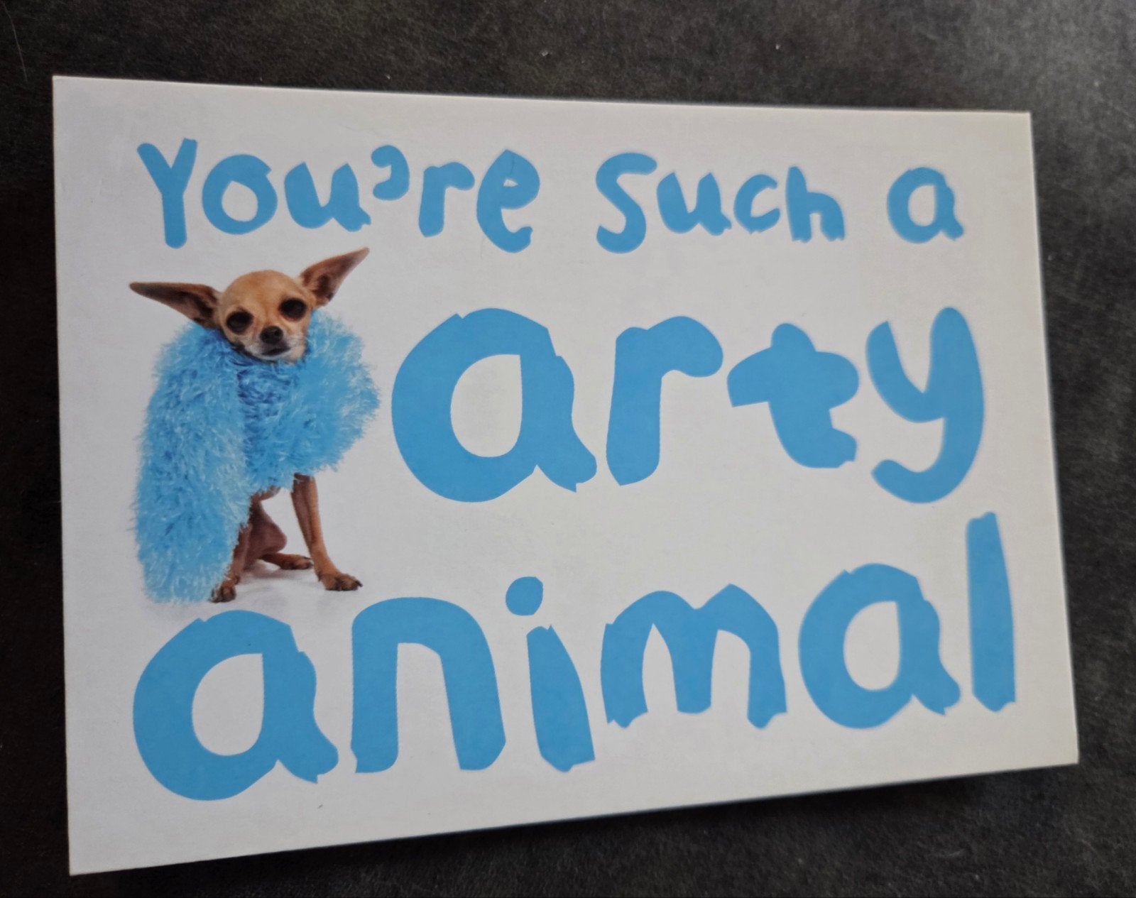 You're Such an Arty Animal, Verzenden, 1980 tot heden, Ongelopen, Hond of Kat