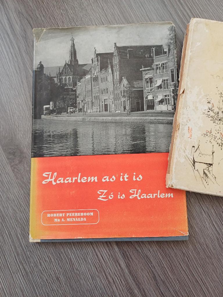 Boeken ( over oud Haarlem ), Boeken, Partijen en Verzamelingen, Ophalen, Gelezen, Geschiedenis en Politiek