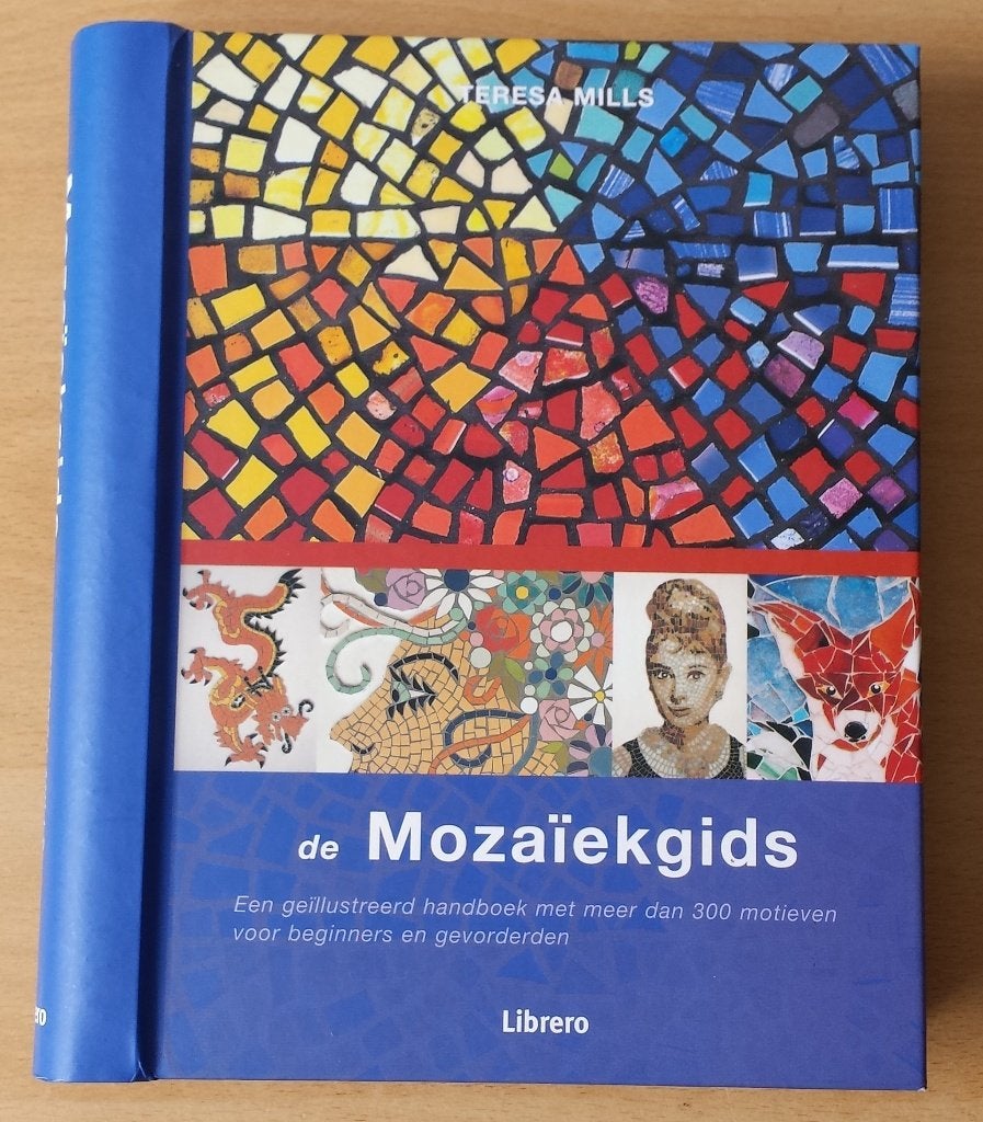 De Mozaïekgids - Teresa Mills - 2007, Ophalen of Verzenden, Gelezen, Overige onderwerpen