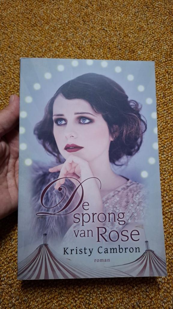 Kristy Cambron - De sprong van Rose, Ophalen of Verzenden, Zo goed als nieuw, Kristy Cambron
