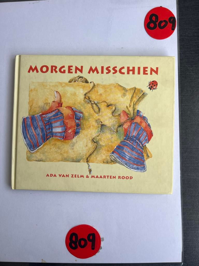 Morgen Misschien - Ada van Zelm & Maarten Rood, Boeken, Kinderboeken | Jeugd | onder 10 jaar, Zo goed als nieuw, Fictie algemeen