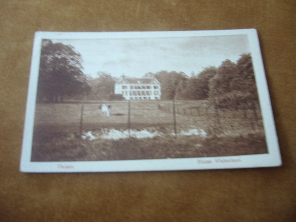 VELSEN  =  HUIZE WATERLAND MET KOE, Ophalen of Verzenden, 1920 tot 1940, Ongelopen, Noord-Holland