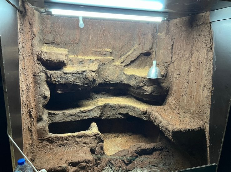 Betonplex Terrarium groot met RotsAchterwand 200x180x200, Dieren en Toebehoren, Verzenden, Zo goed als nieuw, Terrarium of Paludarium