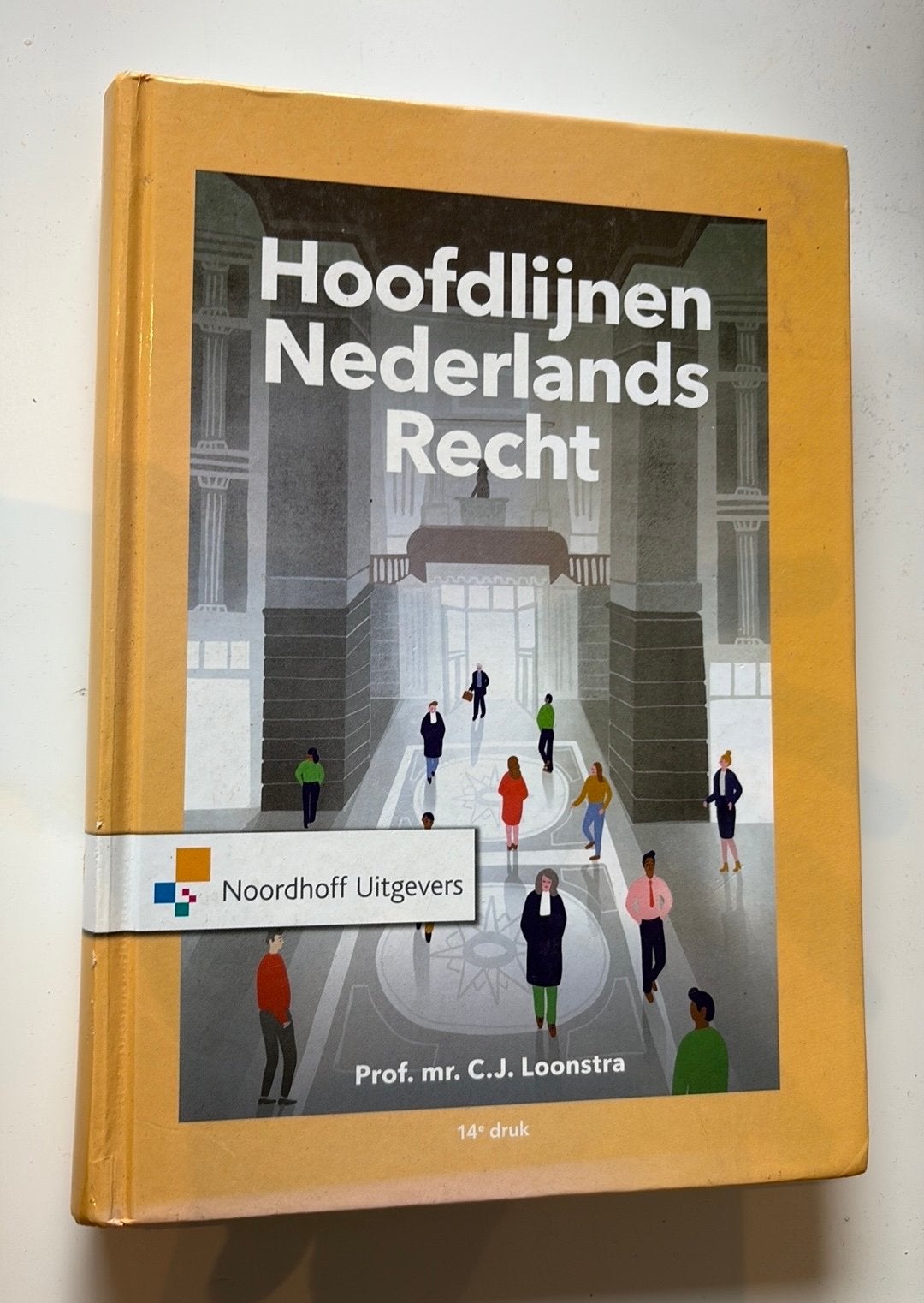 Hoofdlijnen Nederlands Recht - 14e druk - Prof. mr. C.J. Loo, Verzenden, Gamma, Zo goed als nieuw, HBO