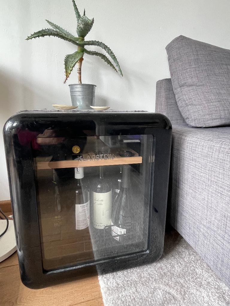 Minikoelkast met glazen deur (48lt), Witgoed en Apparatuur, Koelkasten en IJskasten, Ophalen, Zonder vriesvak, Minder dan 45 cm