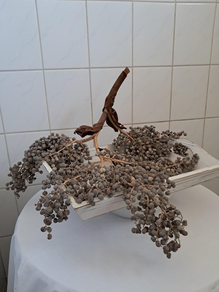 Dadel tak op dienblad, Huis en Inrichting, Woonaccessoires | Overige, Ophalen