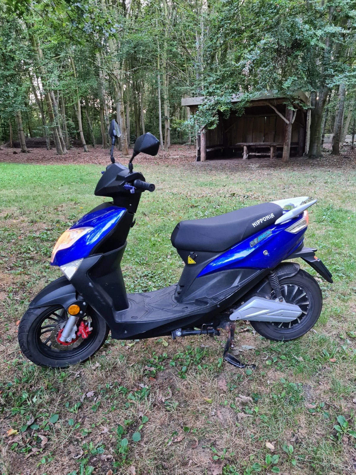 Elektrische scooter, Nipponia E-Rex. Gratis verzending+ Helm
