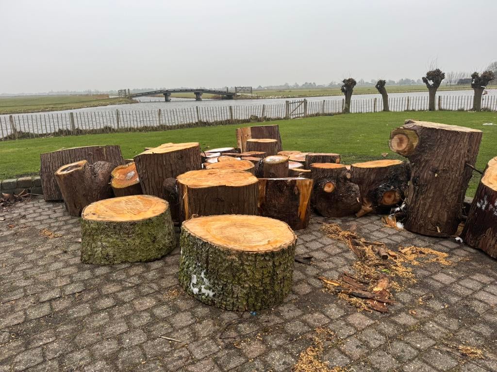 Boomstammen te koop - klein, middel, groot, Tuin en Terras, Haardhout, Minder dan 3 m³, Ophalen of Verzenden, Overige houtsoorten