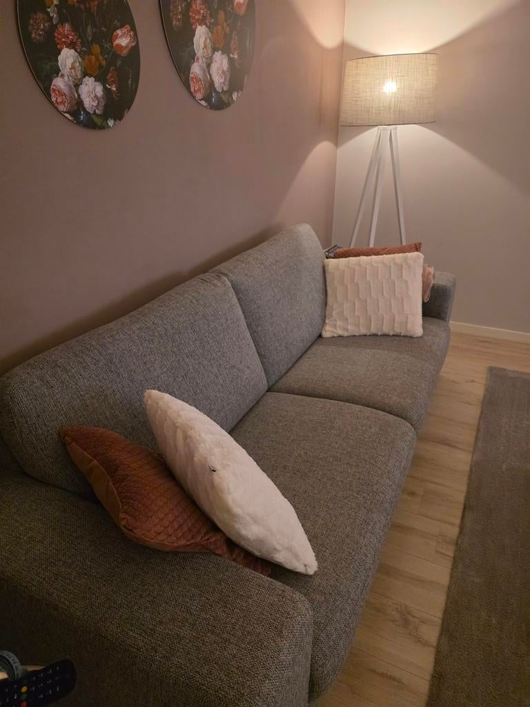 Mooie grijze bank  voor € 100 breedte 224 cm en diepte 95 cm, Huis en Inrichting, Banken | Bankstellen, Ophalen, Driepersoons