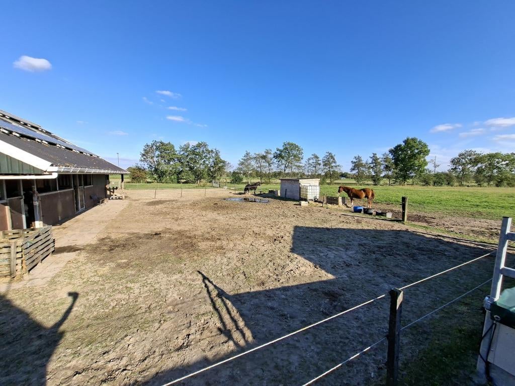 Stalling/paddockplekje vrij voor shetlander, Dieren en Toebehoren, Weidegang