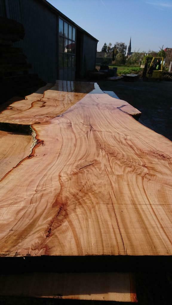 Boomstamtafel, schaaldelen, schijven en oud hout!!, Doe-het-zelf en Verbouw, Hout en Planken, Ophalen, Nieuw, Plank, Beuken