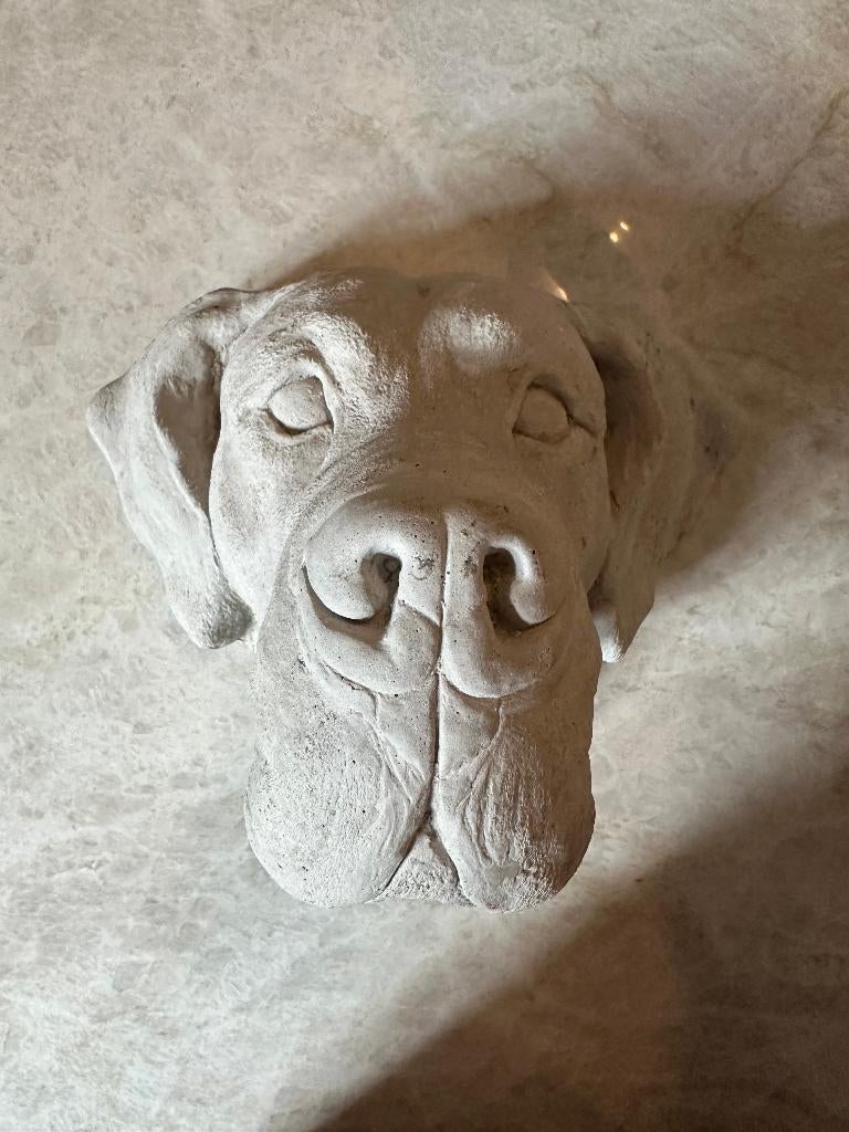 Duitse doggen kop, Ophalen of Verzenden, Zo goed als nieuw