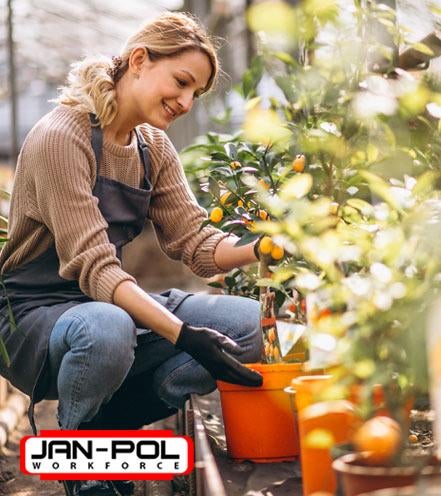 vacatures, Starter, Overige vormen, LBO / VMBO, Geschikt als bijbaan
