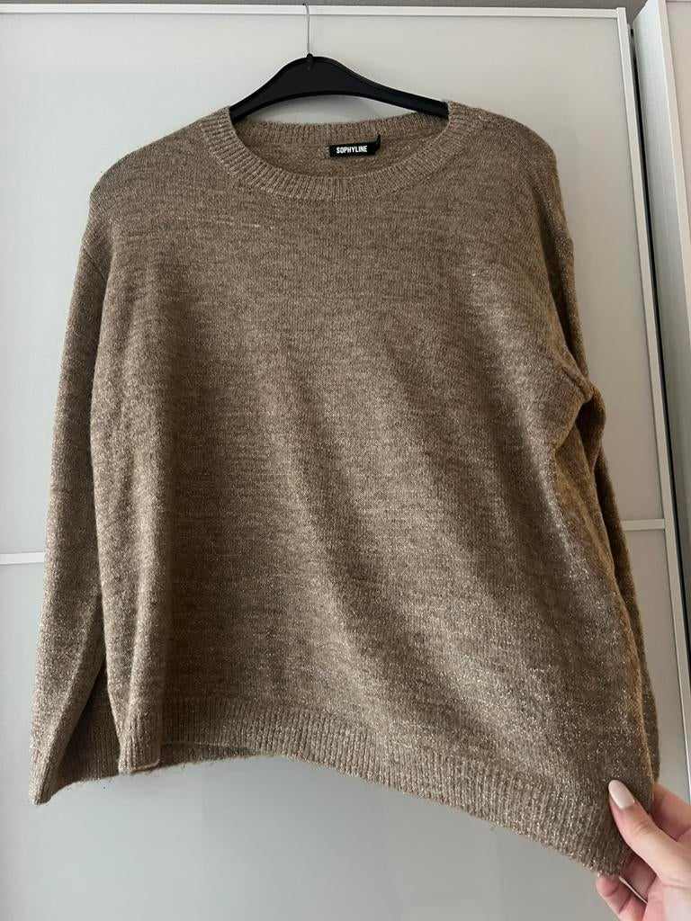 Lurex trui taupe maat L, Kleding | Dames, Ophalen of Verzenden, Zo goed als nieuw, Maat 38/40 (M), Bruin