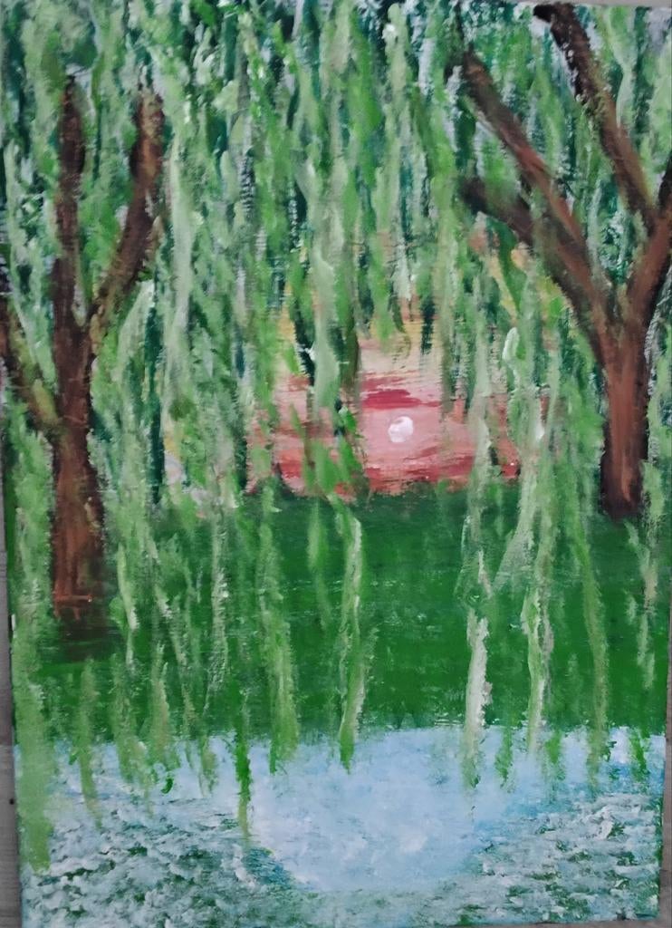 treurwilg met ondergaande zon 70/50 cm., Ophalen