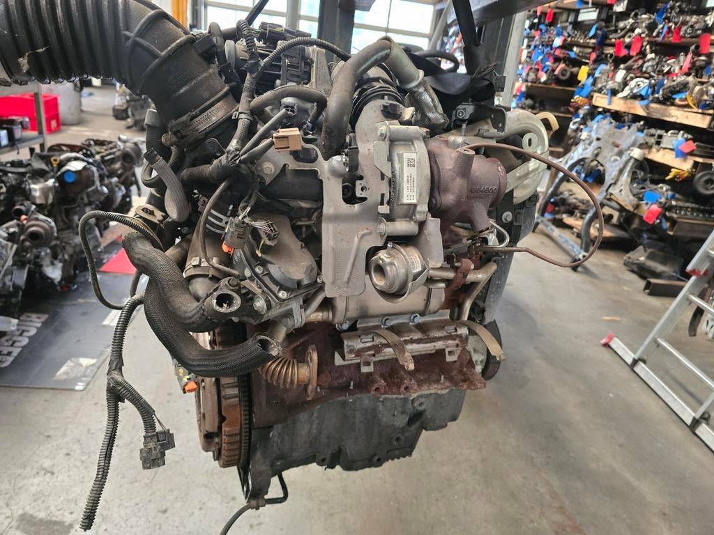 Motor dacia dokker 1.5 DCI.   K9K626, Auto-onderdelen, Motor en Toebehoren, Ophalen of Verzenden, Renault