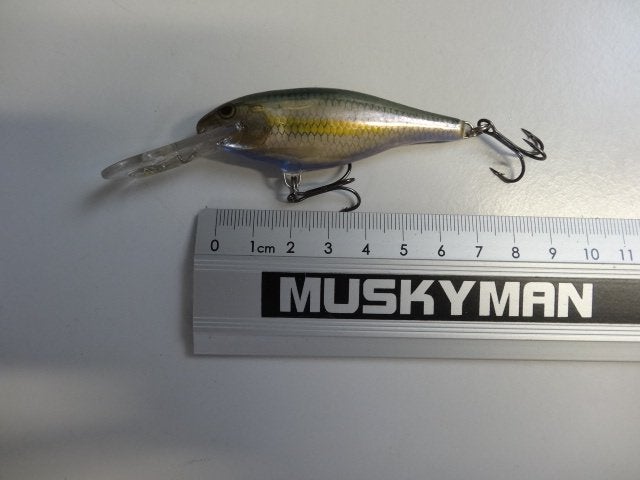 Kunstaas: Rapala Shad Rap Deeprunner (SR-7) pluggen, Watersport en Boten, Verzenden, Gebruikt, Overige typen