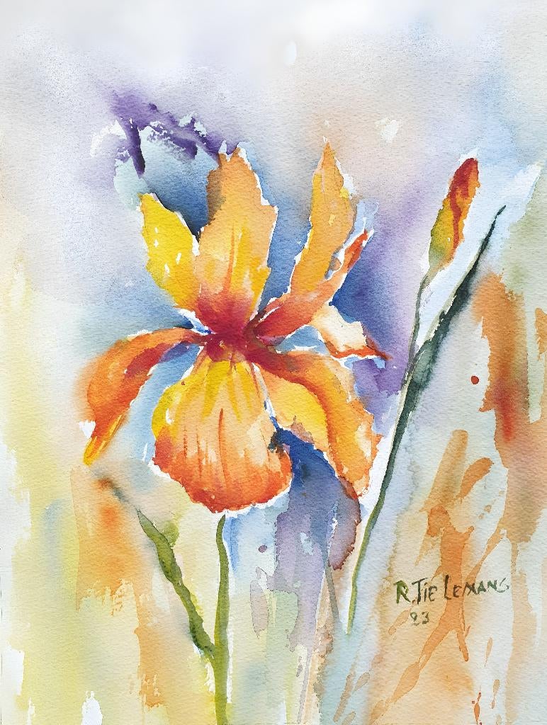 Iris Bloem, aquarel 40x30 cm, Antiek en Kunst, Kunst | Schilderijen | Klassiek, Ophalen of Verzenden