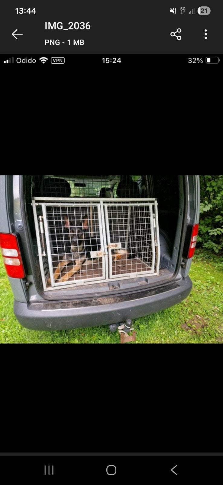 Honden bench, Dieren en Toebehoren, Ophalen
