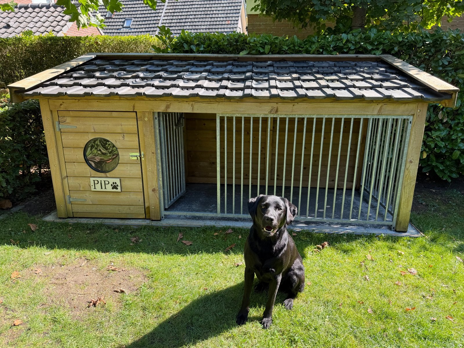 Hondenhok met buitenren, Ophalen, Hondenkennel, 110 cm of meer, 100 cm of meer