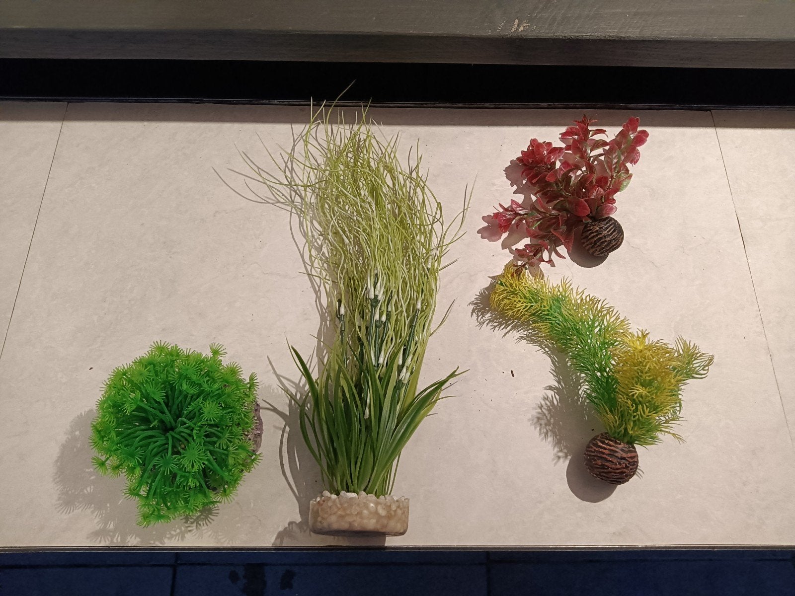 Aquarium planten, Ophalen, Gebruikt, Plant(en), Steen of Hout